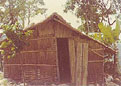 Bamboo Gates